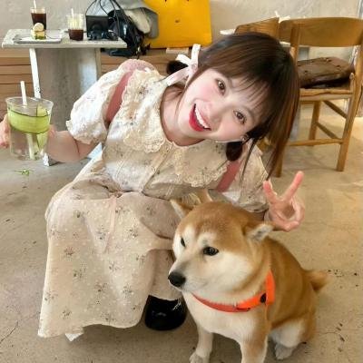 安娜的爱人海报